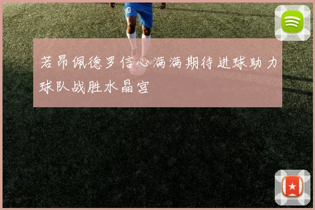 若昂佩德罗信心满满期待进球助力球队战胜水晶宫